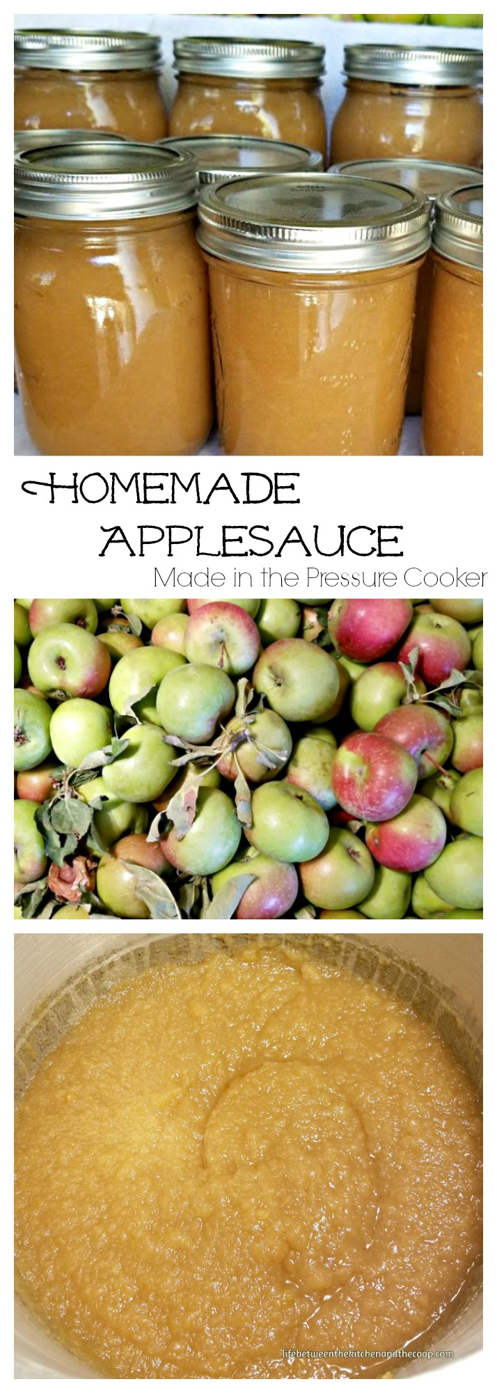 How to Make Homemade Applesauce in the Pressure Cooker Life Between