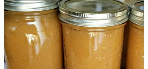 homemade applesauce