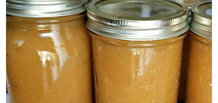 homemade applesauce