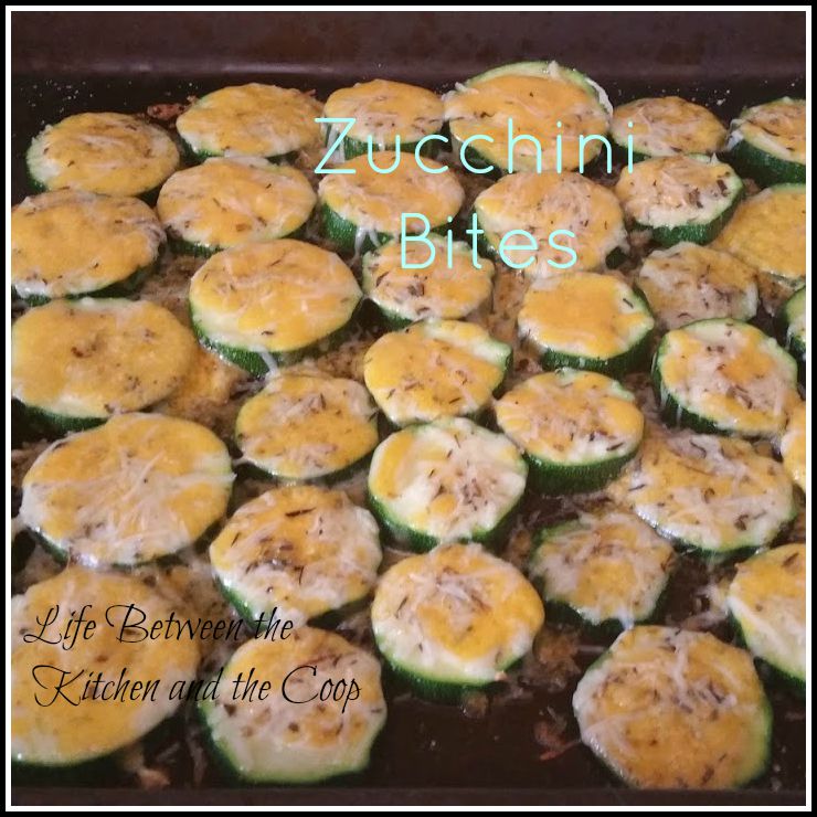 seasoned zucchini bites