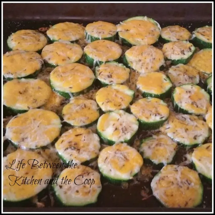 garden cooking, zucchini, healthy