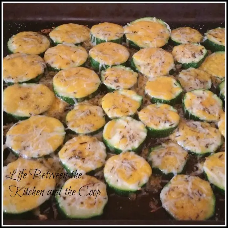 zucchini bites