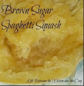 spaghetti squash recipe