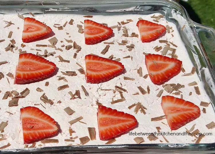 strawberry brownies