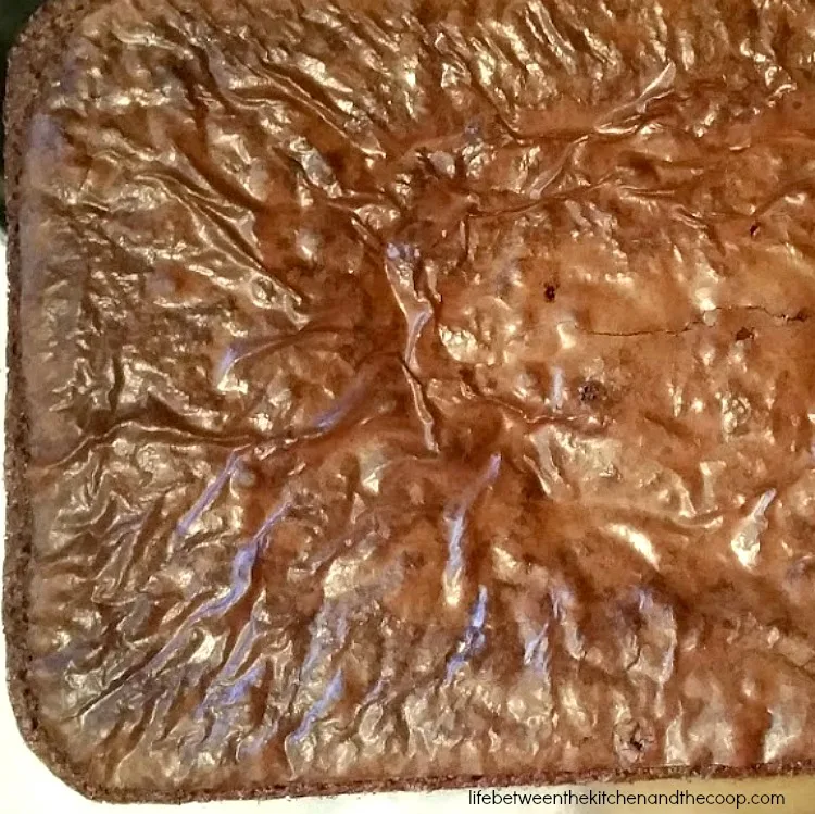 brownies