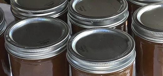 homemade apple butter recipe