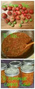 canning tomatoes