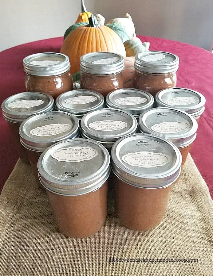 canning cinnamon applesauce