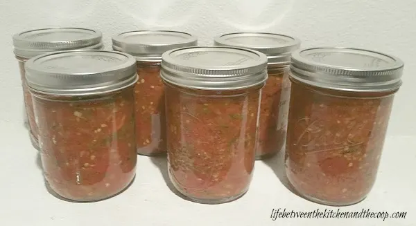 salsa recipe