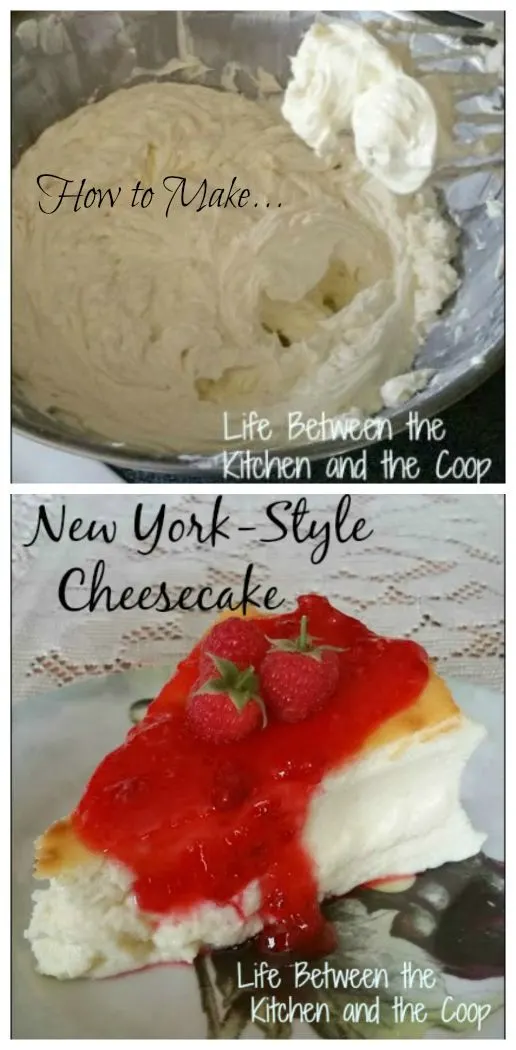 cheese cake, cream cheese, dessert, new york-style cheesecake