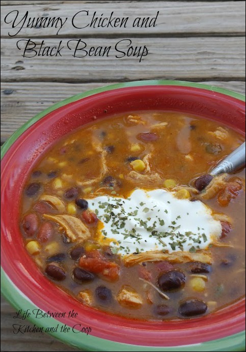 chicken black bean soup 