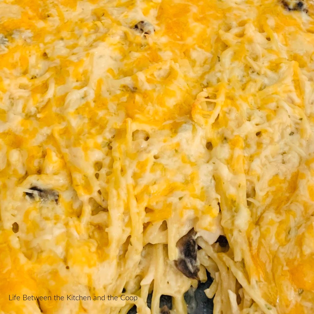 Chicken tetrazzini easy