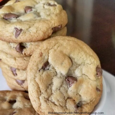 easy soft chocolate chip cookies