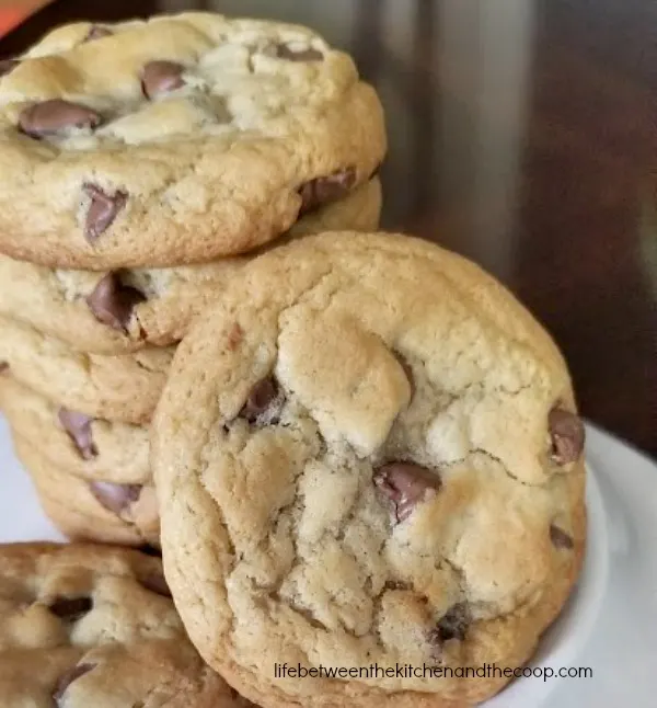 easy soft chocolate chip cookies