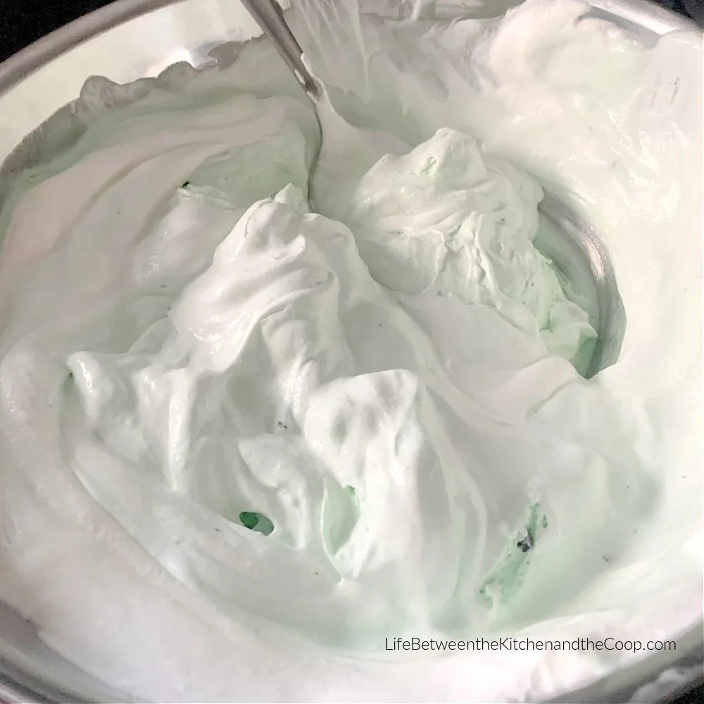 grasshopper dessert