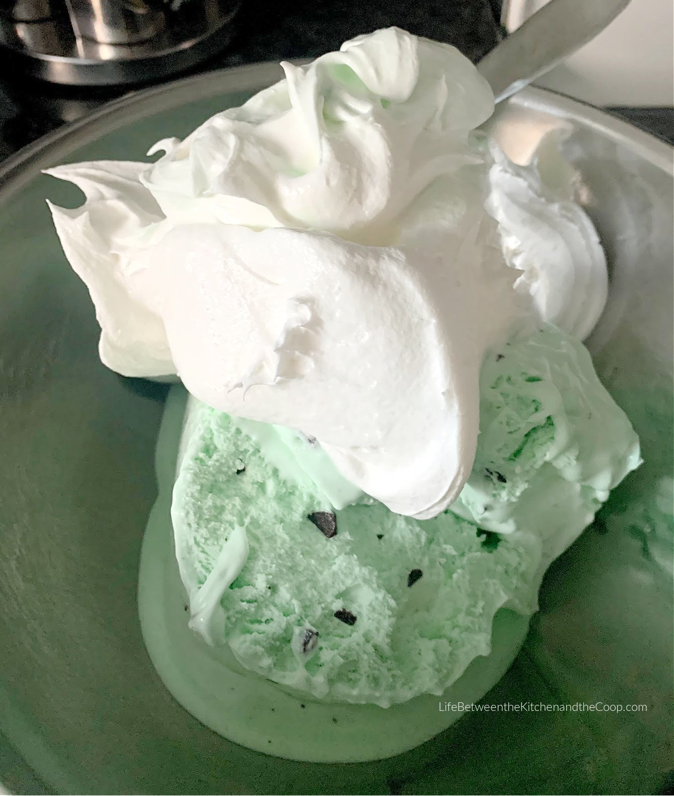 chocolate chip mint ice cream dessert