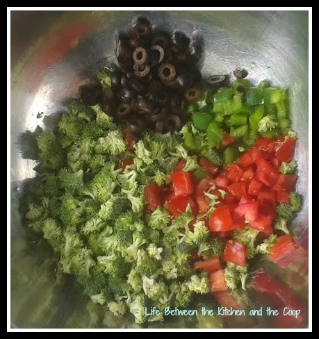 green peppers, tomatoes, broccoli, black olives, salad