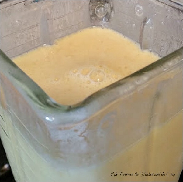 copycat orange julius