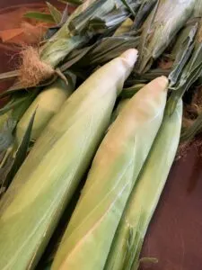 freezing corn on the cob