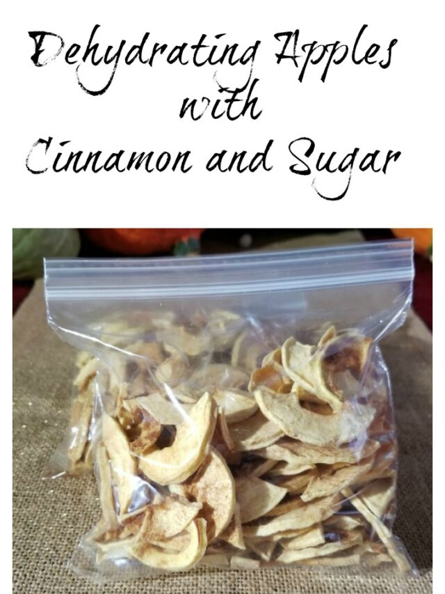 Dehydrating Apples with Cinnamon and Sugar Life Between the Kitchen