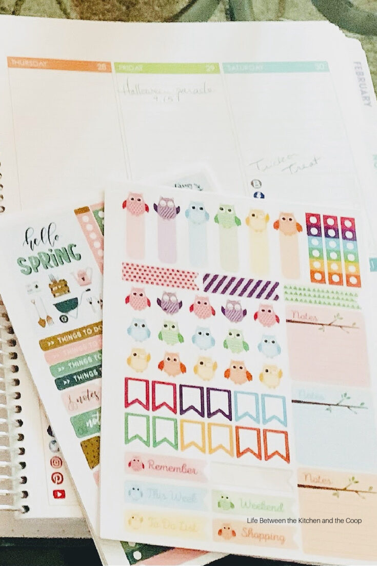 9 Day Planner Organization Tips to Plan a Busy Life