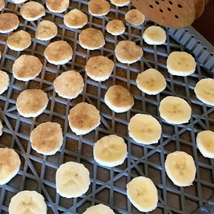 dehydrating banana chips with cinnamon and sugar