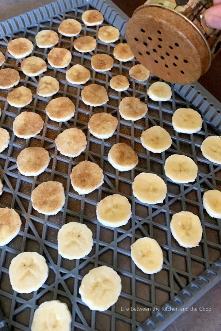 How to Dehydrate Banana Chips with Cinnamon and Sugar