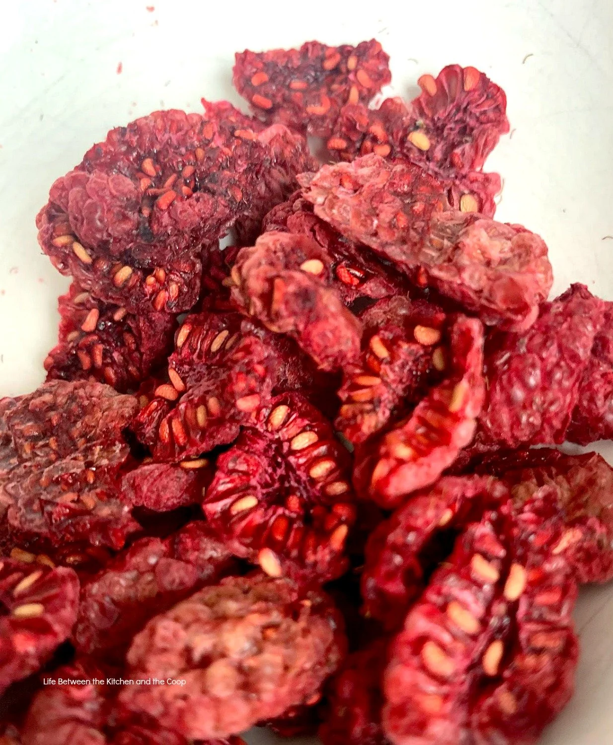 dehydrated raspberries for food storage