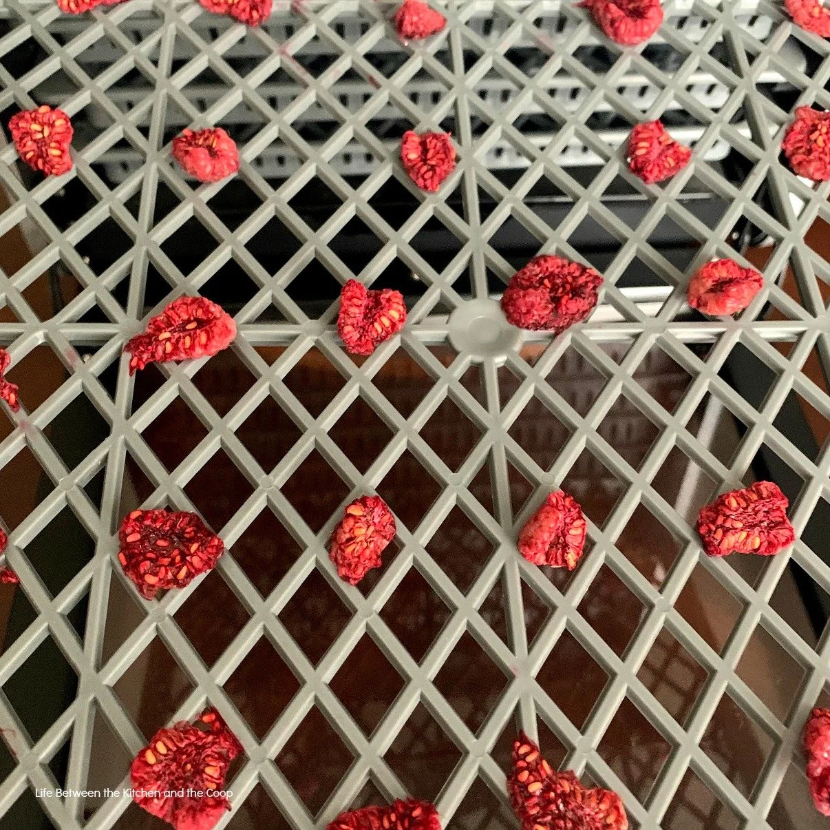 dehydrated raspberries