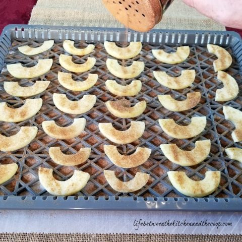 dehydrating apples with cinnamon and sugar