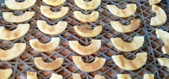 dehydrating apples with cinnamon and sugar