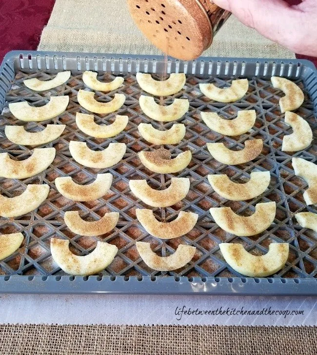 dehydrating apples with cinnamon and sugar