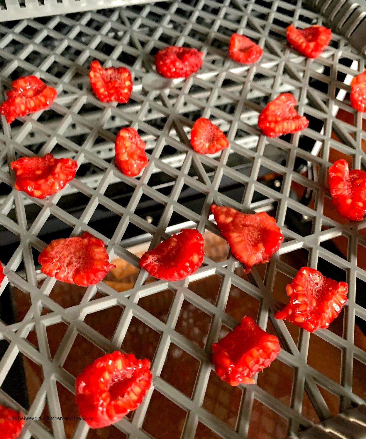 dehydrated raspberries