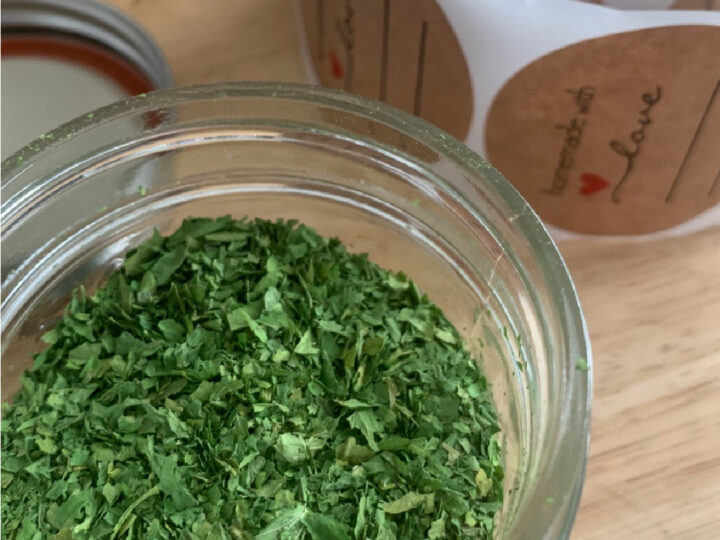 drying parsley in a food dehydrator 1080 x 1080