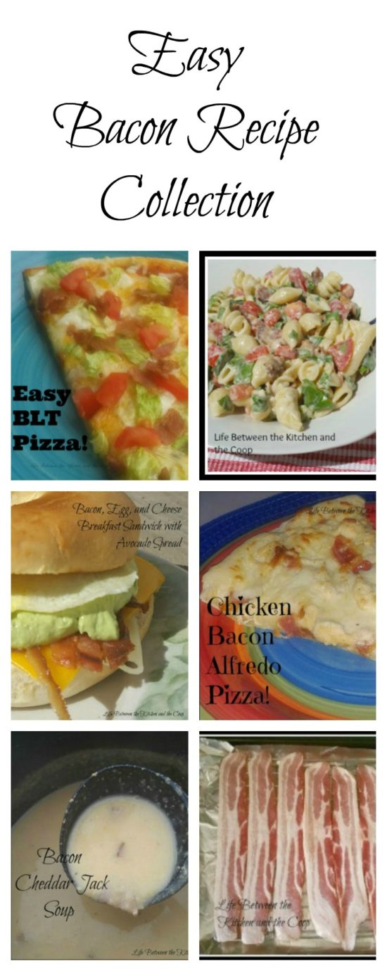 Easy Bacon Recipes That Your Family Will Love