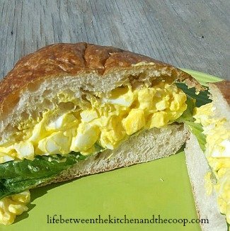 egg salad sandwich