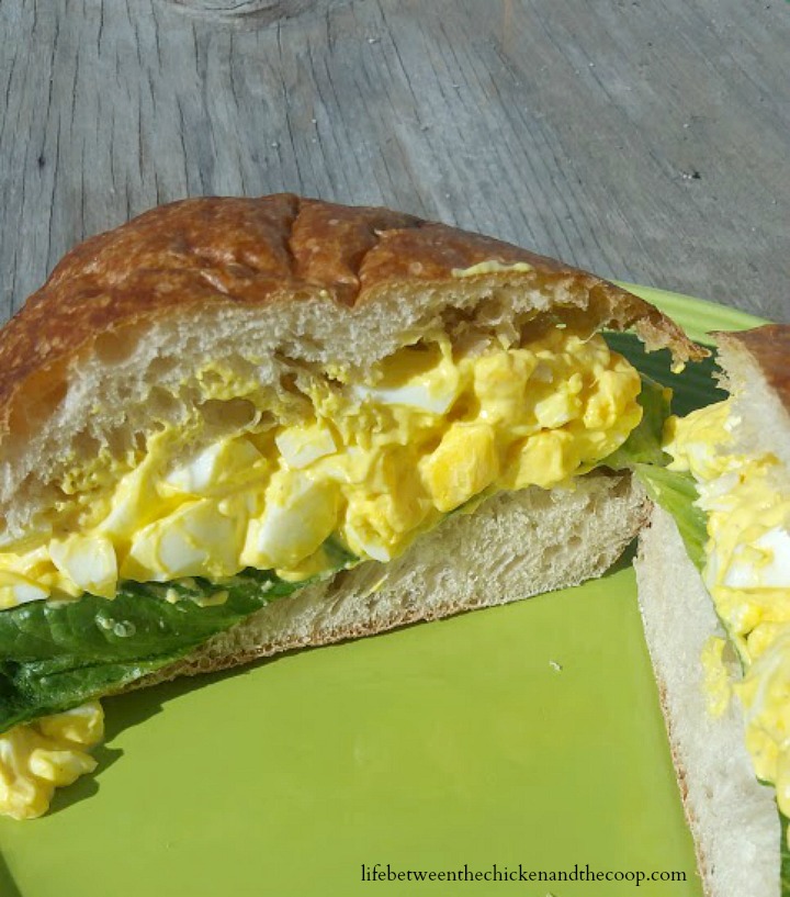 egg salad sandwich