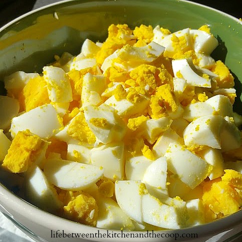 egg salad recipe