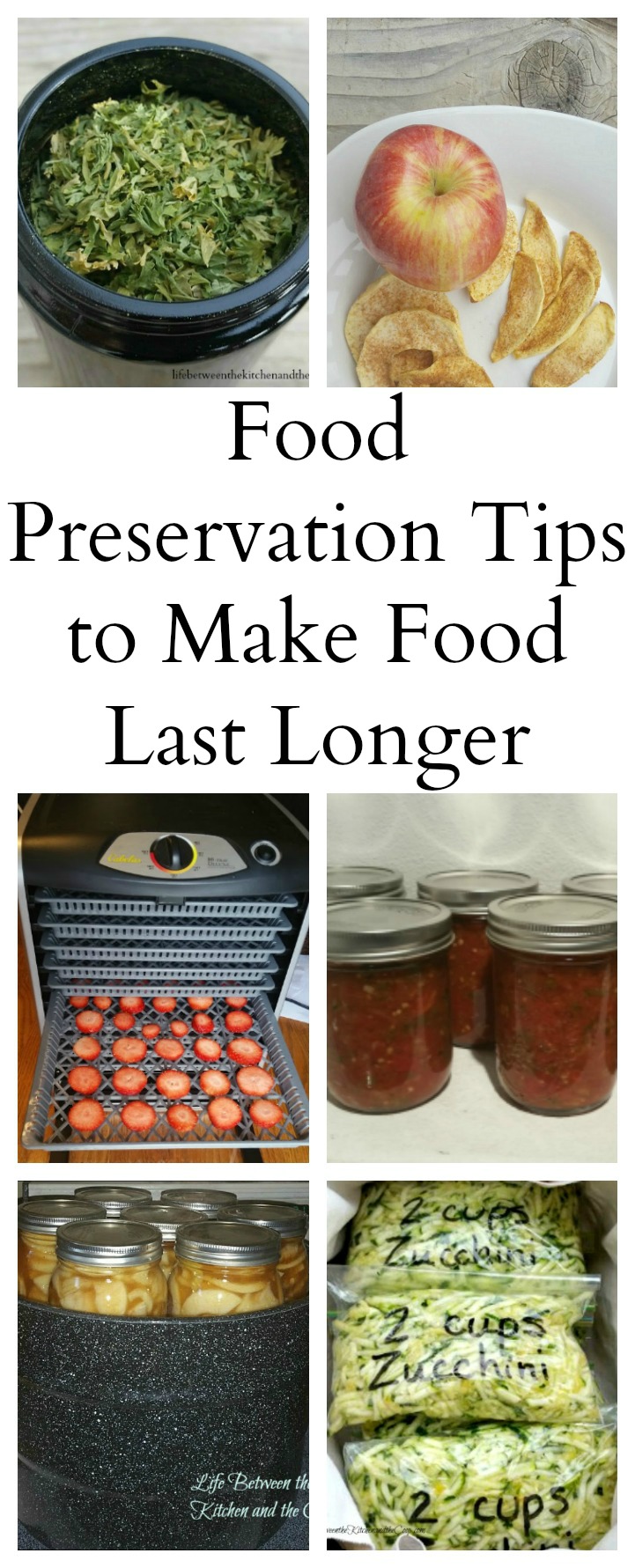 food preservation