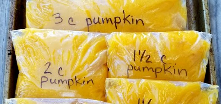 homemade pumpkin puree