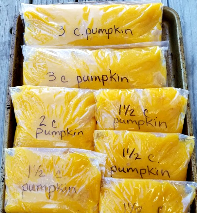 homemade pumpkin puree