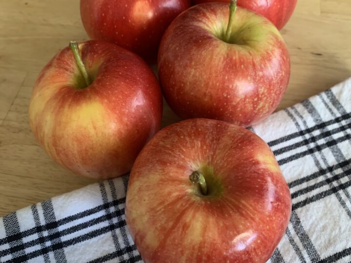 how to make dehydrated apple chips in the food dehydrator