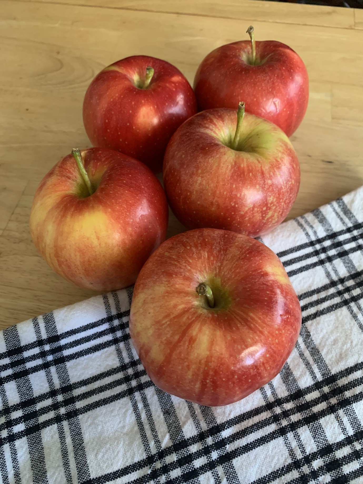 how to make dehydrated apple chips in the food dehydrator