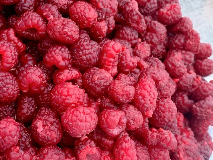 dehydrating fresh raspberries for food storage