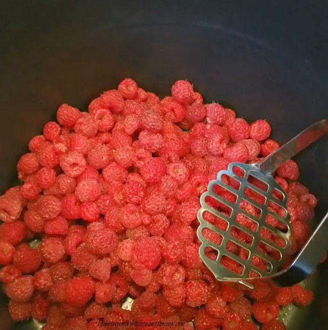 raspberry jam