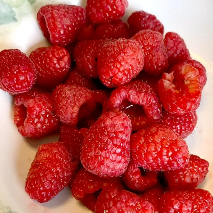 dehydrated raspberries