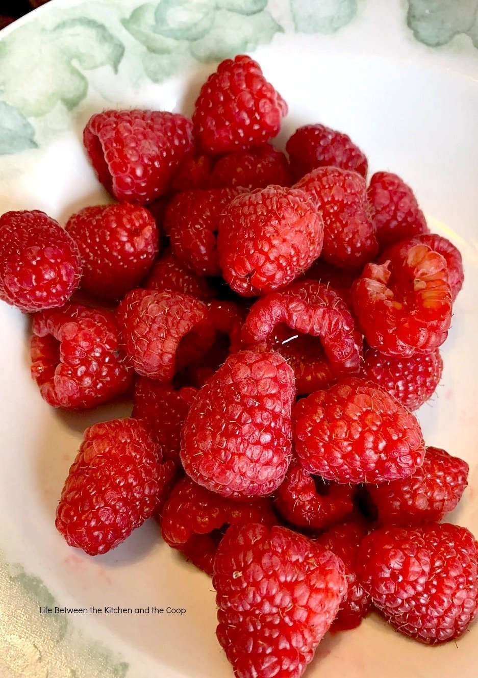 Fresh Raspberries