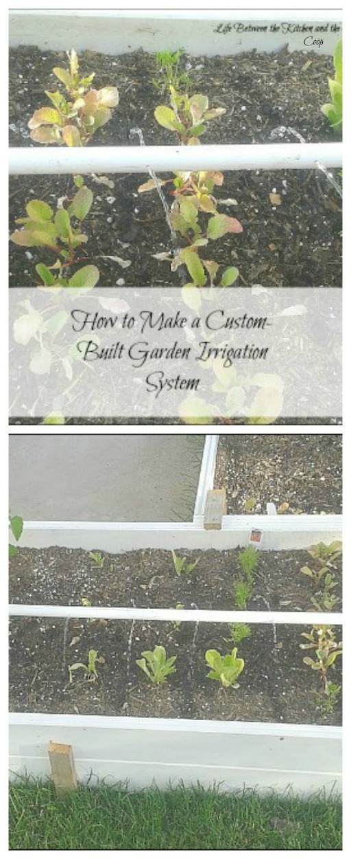 custom built garden irrigation system