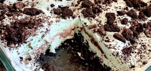 Chocolate Chip Mint Ice Cream Dessert with Oreo Crust and Hot Fudge