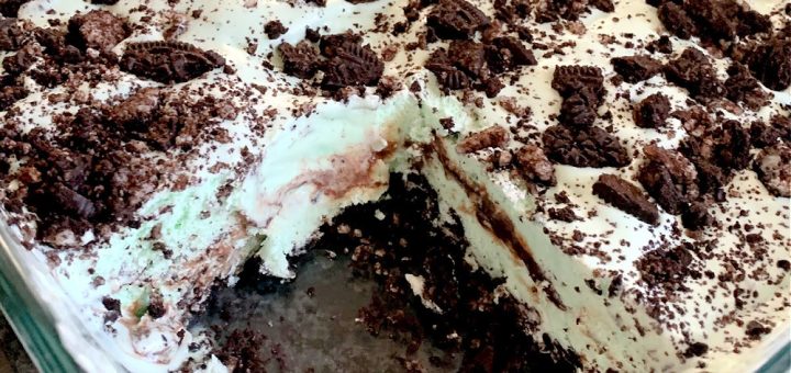 Chocolate Chip Mint Ice Cream Dessert with Oreo Crust and Hot Fudge